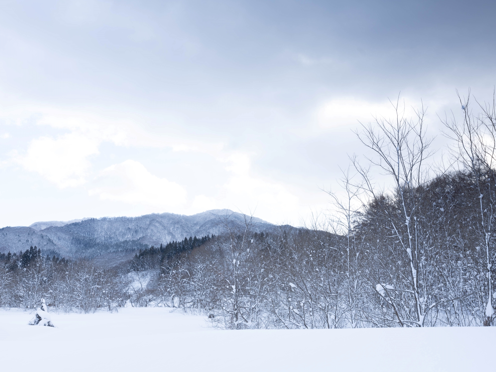 【外観】まるで水墨画のような景色を魅せます。