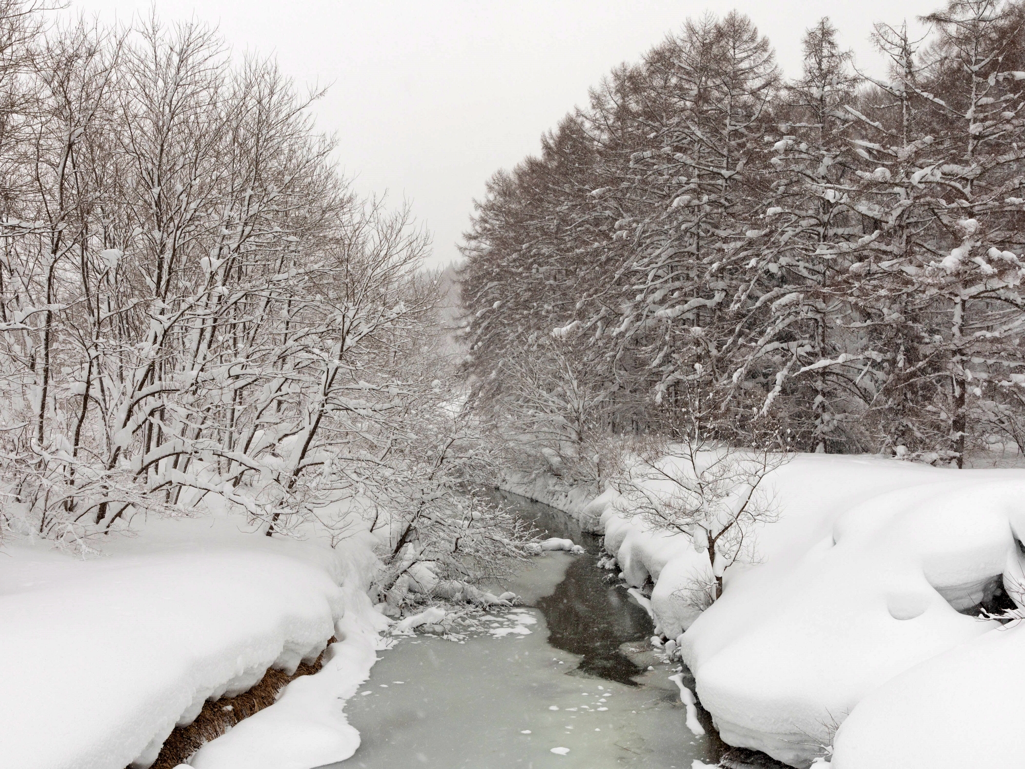 【外観】まるで水墨画のような景色を魅せます。