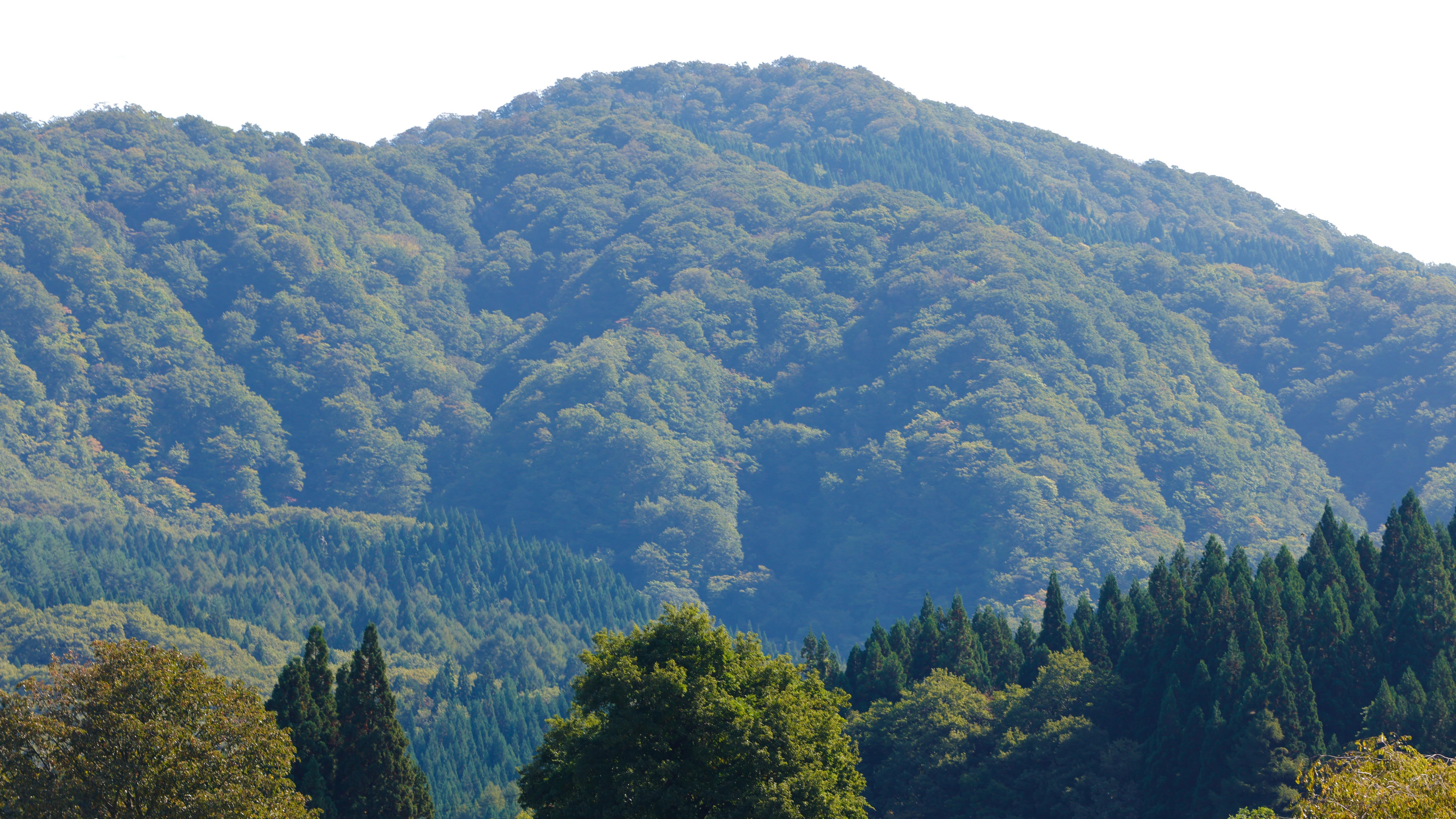 【周辺景観】四季折々の表情をのぞかせる山々。