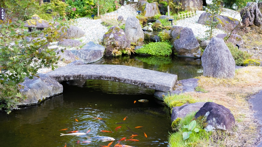 【施設】庭園内の池では魚たちが元気に過ごしています。
