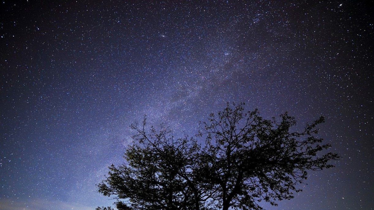 【秋冬SALE】＜和洋折衷コース＞旬の地場食材を楽しめる夕食コースプランがお得