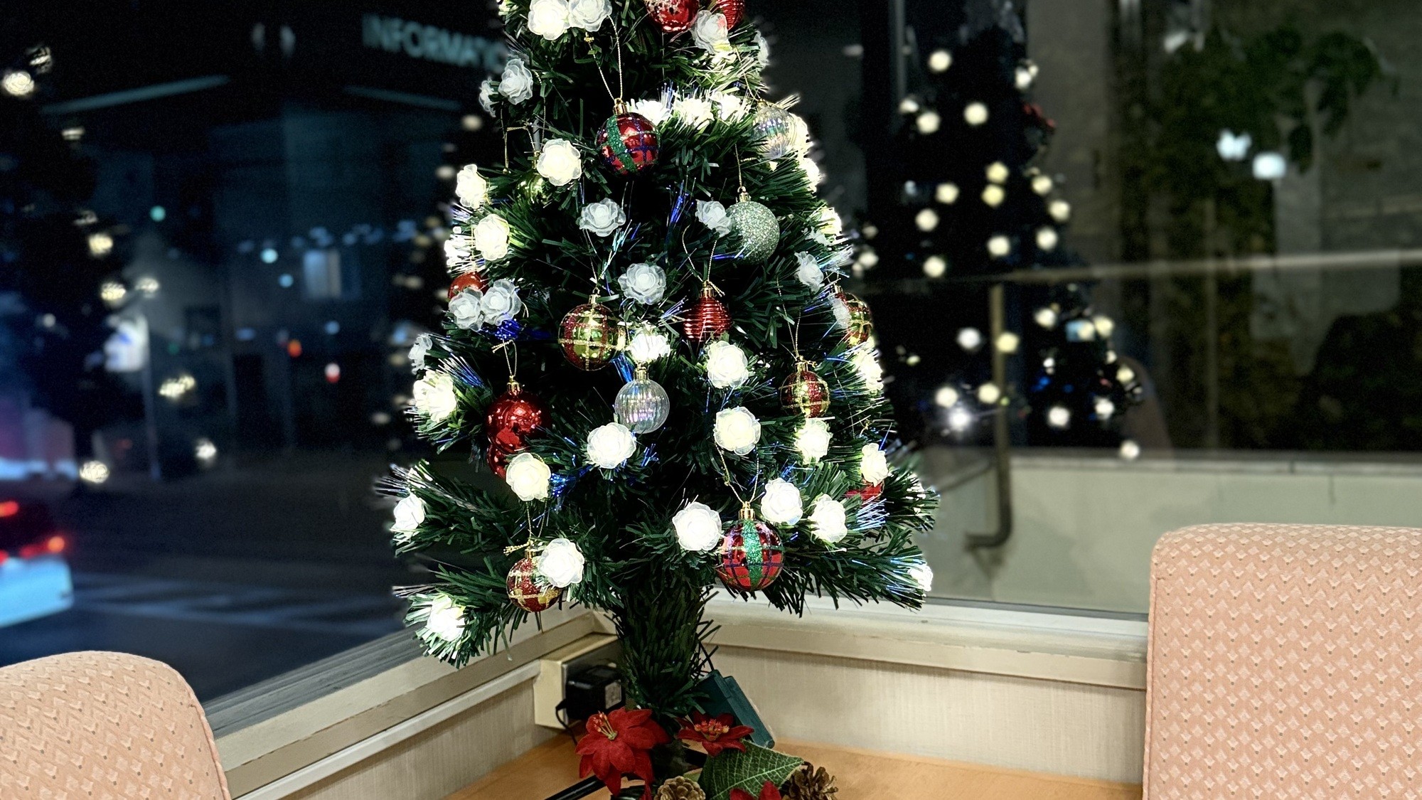 本館クリスマスツリー