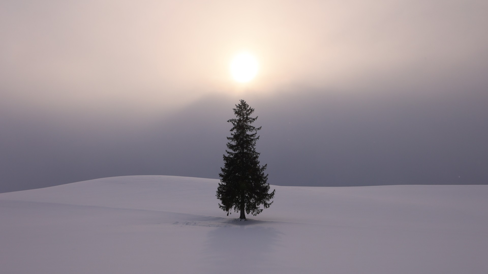 【さき楽90/ウィンター1泊2食付】最大15％OFF！メイン２品＆飲み放題ラウンジ〇無料朝食付