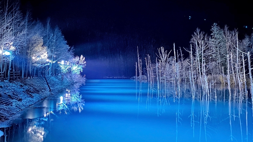 【2食付〇クラブラウンジ＋メイン2品】アルコール飲み放題クラブラウンジ＆魚＆肉メイン料理〇無料朝食付