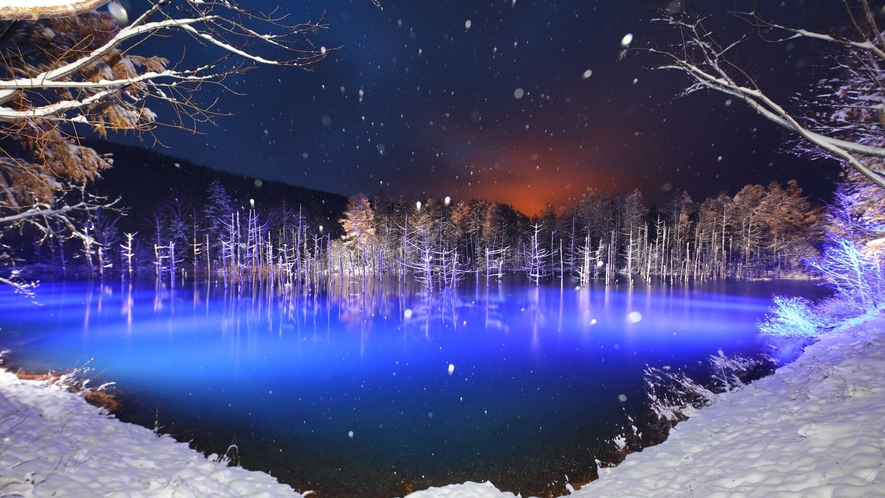 【白金青い池】美瑛町にある、冬の幻想的な青い池。
