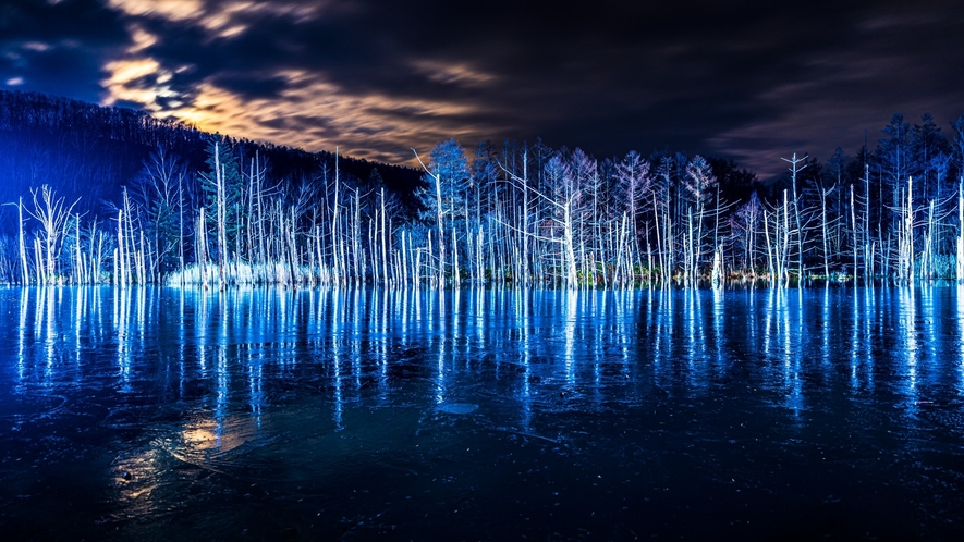 【白金青い池】美瑛町にある、冬の幻想的な青い池。
