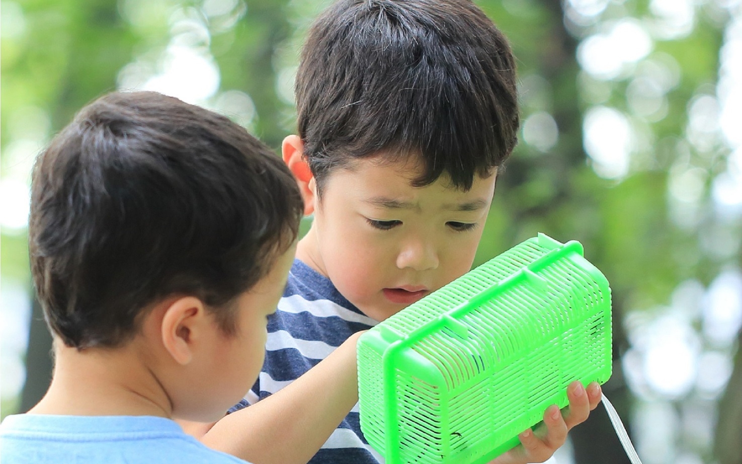 ＜お子様連れのファミリー限定＞夏休みの思い出に♪甲虫ペアセット付プラン