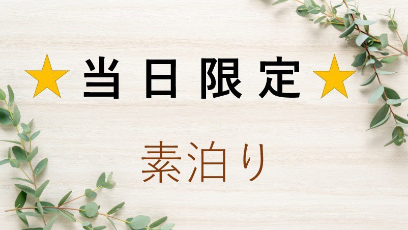 ☆★当日限定・素泊まり★☆今からでも間に合う直前割！