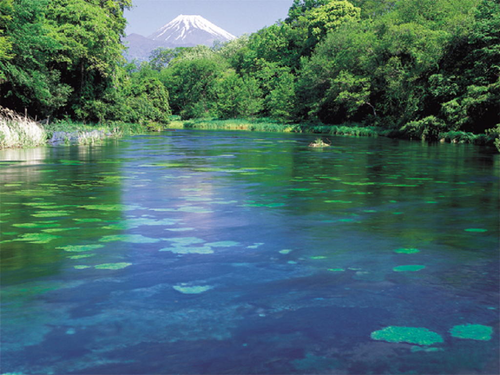 柿田川湧水