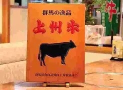 ★【グレードアップ】絶品上州牛を堪能♪お得な特別会席と源泉かけ流し温泉《24時間入浴可能》