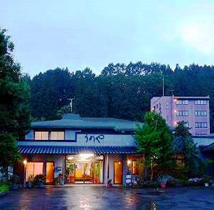 외관 변경용