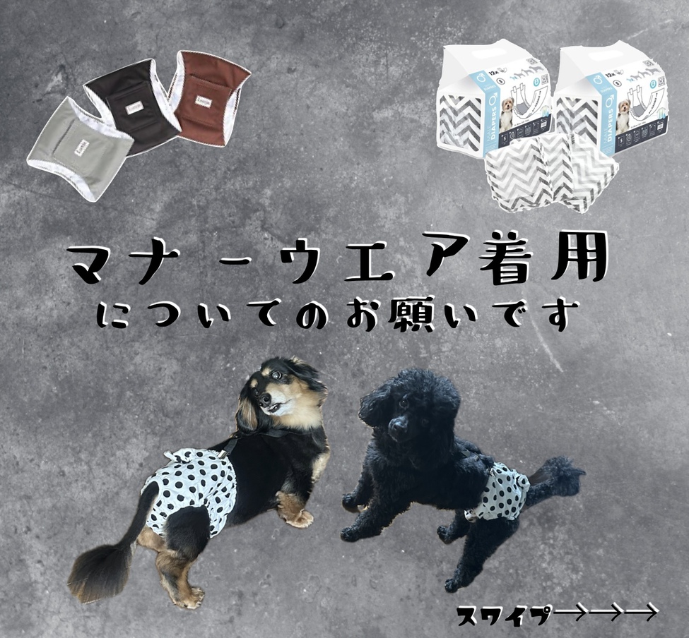 【大切なペットも一緒に沖縄リゾートSTAYプラン】