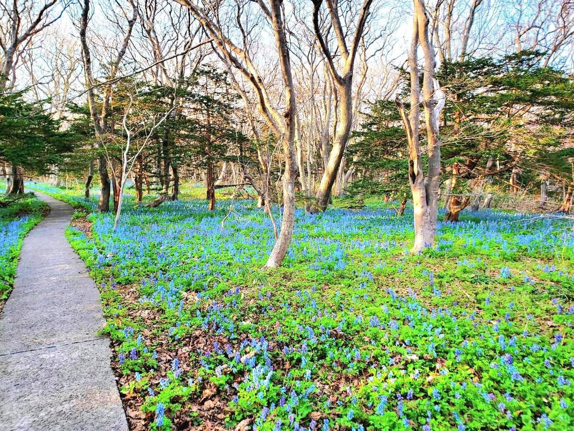 【★島入りが午後の船の方必見】おすすめは2泊〜！《夕食付きプラン》