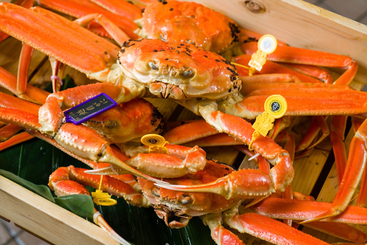 【越前がに日帰り美食プラン】美食と温泉の日帰り小旅行　11時IN／16時OUT