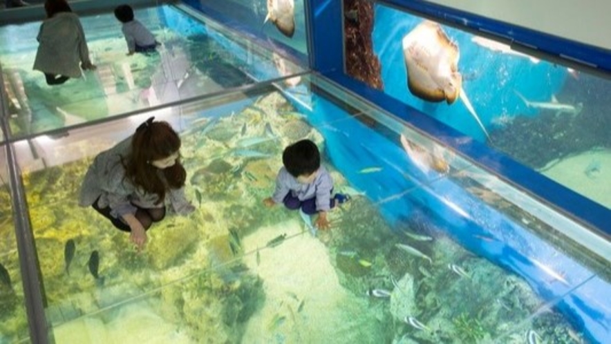 松島水族館