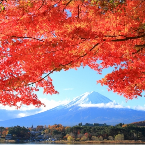 【富士山ギャラリー】紅葉と富士山