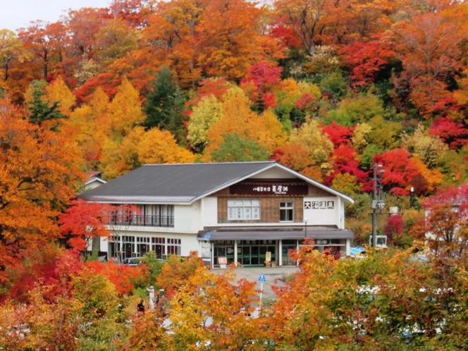 紅葉の大沼茶屋湖