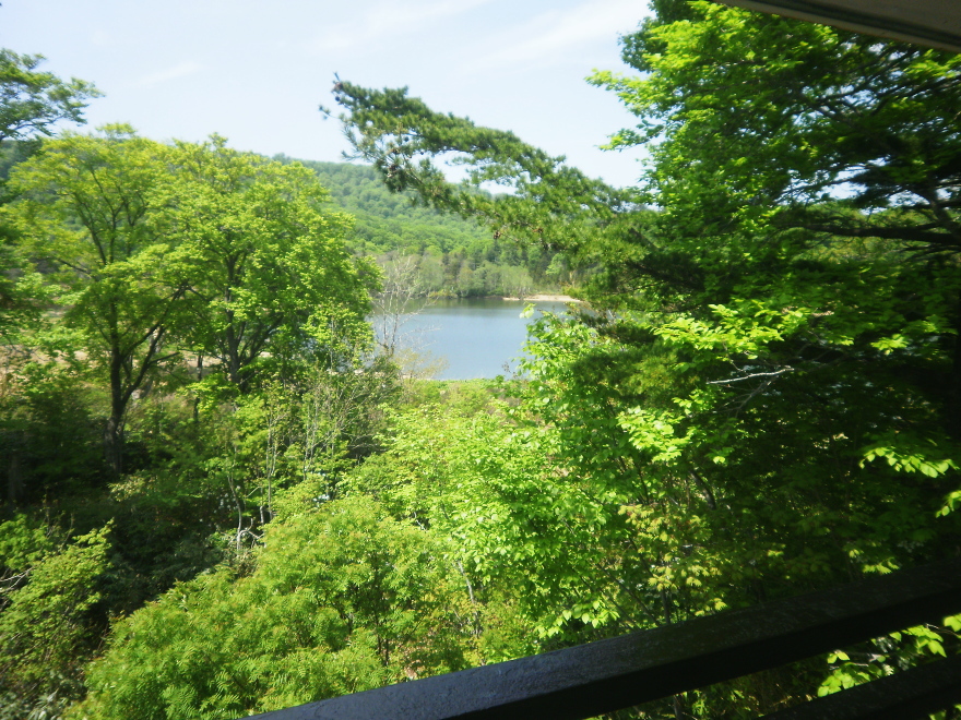 お部屋から見る八幡平大沼