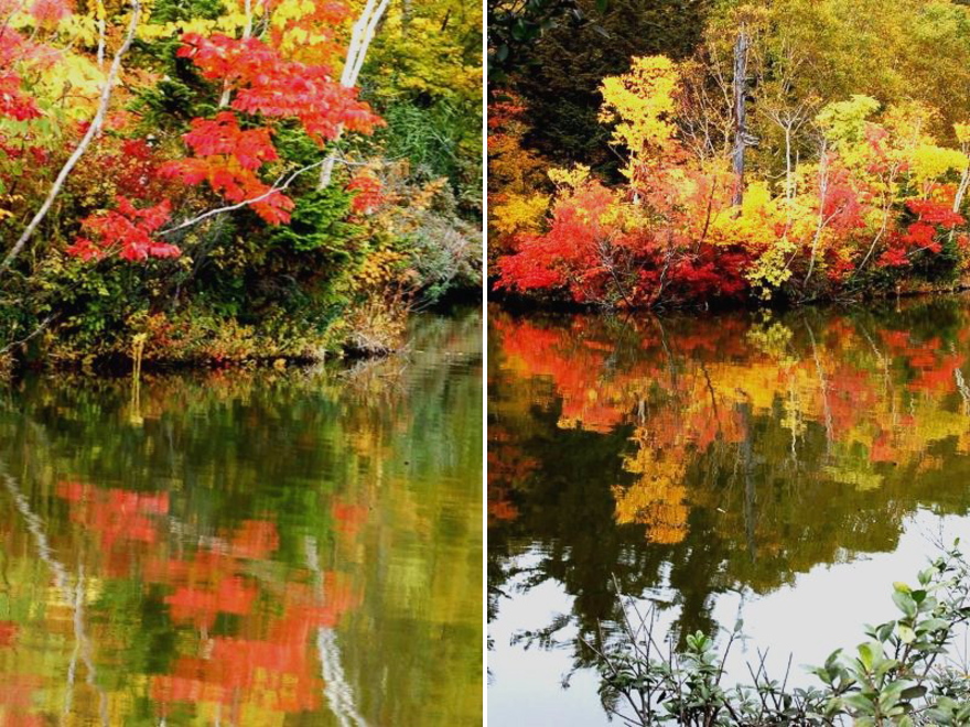 八幡平大沼の湖面に映える紅葉