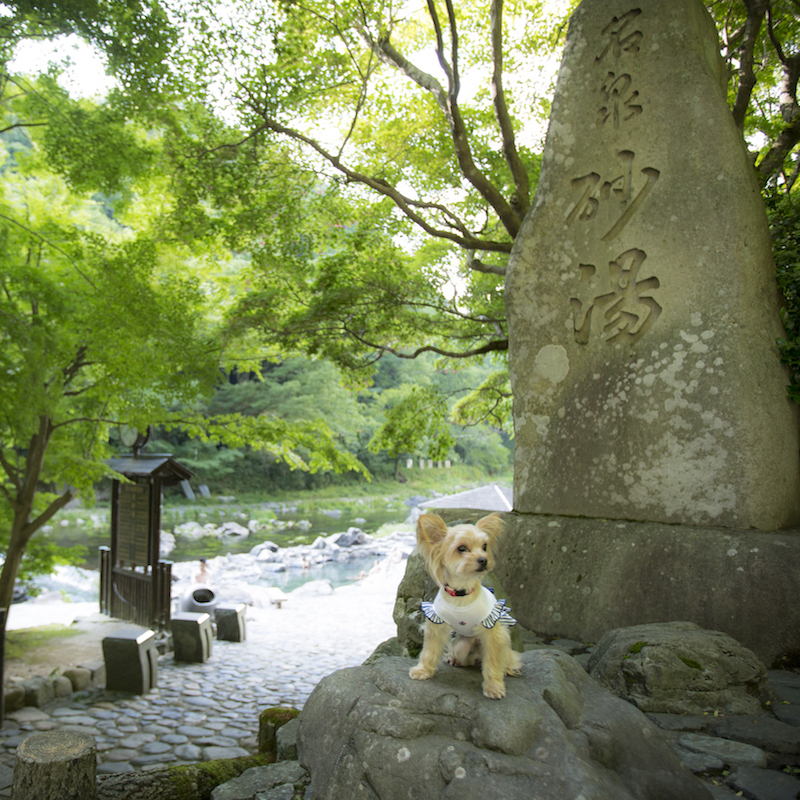 湯原温泉の名勝「砂湯」