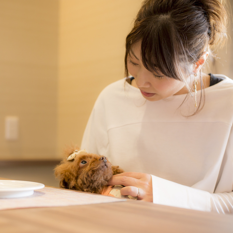 愛犬とお部屋で寛ぐ2