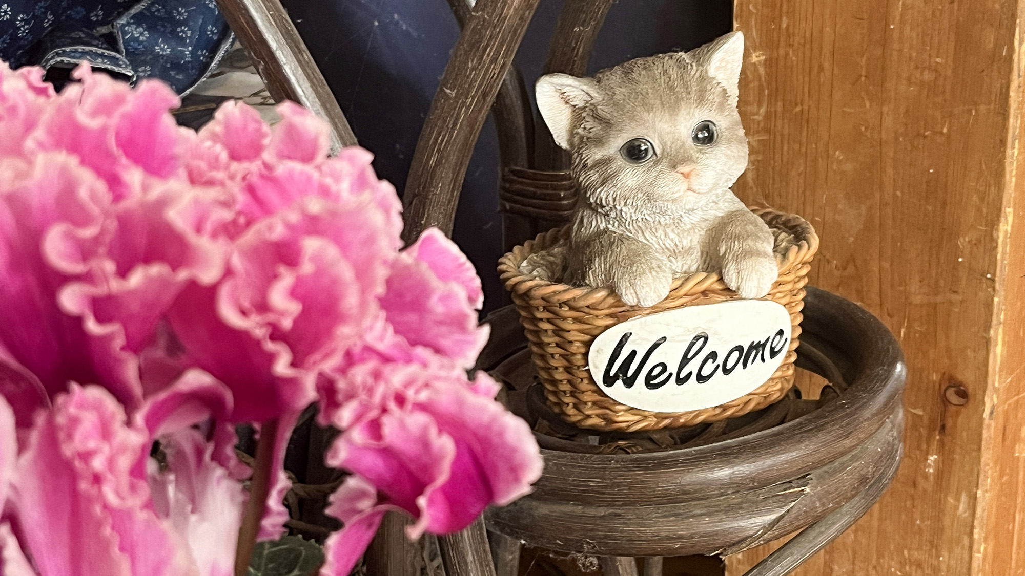 #昔ながらの小物に囲まれた、あたたかな館内