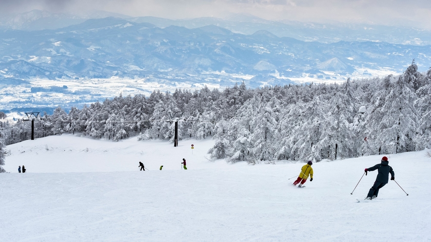 【蔵王温泉スキー場】多妻なコースを楽しめるパウダースノーのゲレンデ