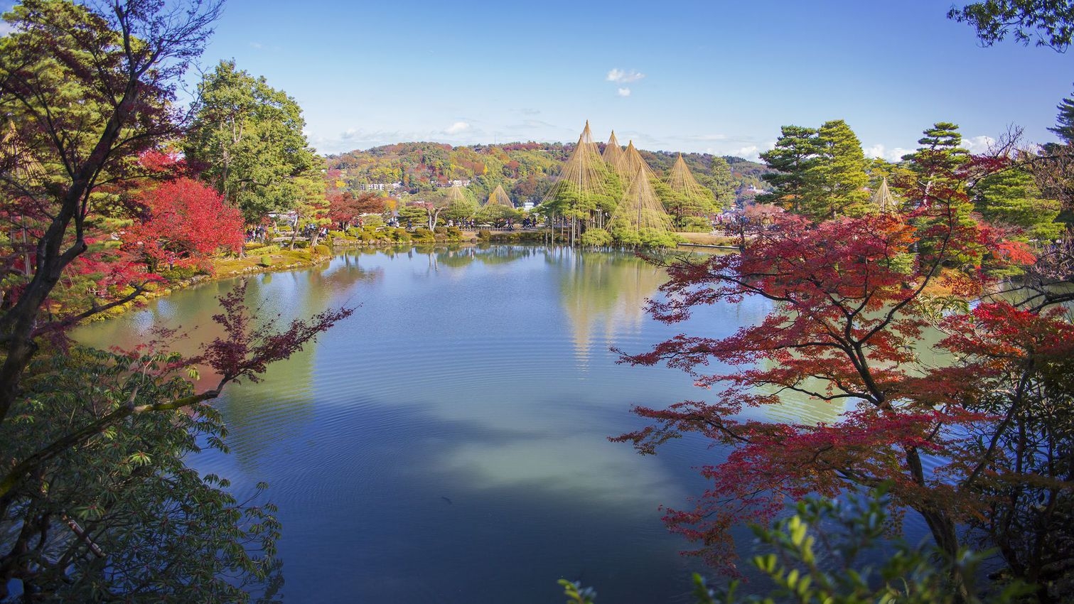 【周遊バス1日フリーパス付】金沢観光を自由に満喫！主要スポットめぐりを快適サポート│素泊まり