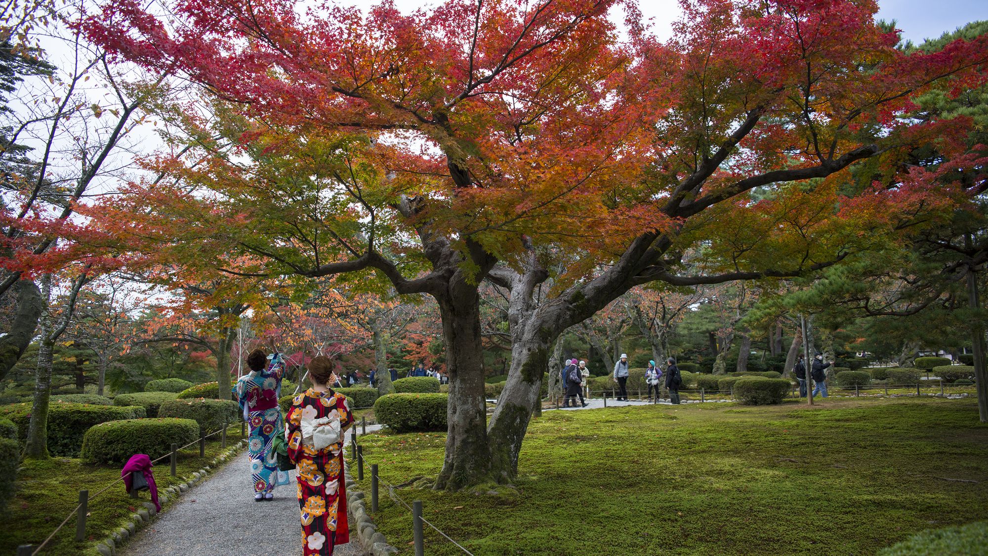 兼六園（画像提供：金沢市）