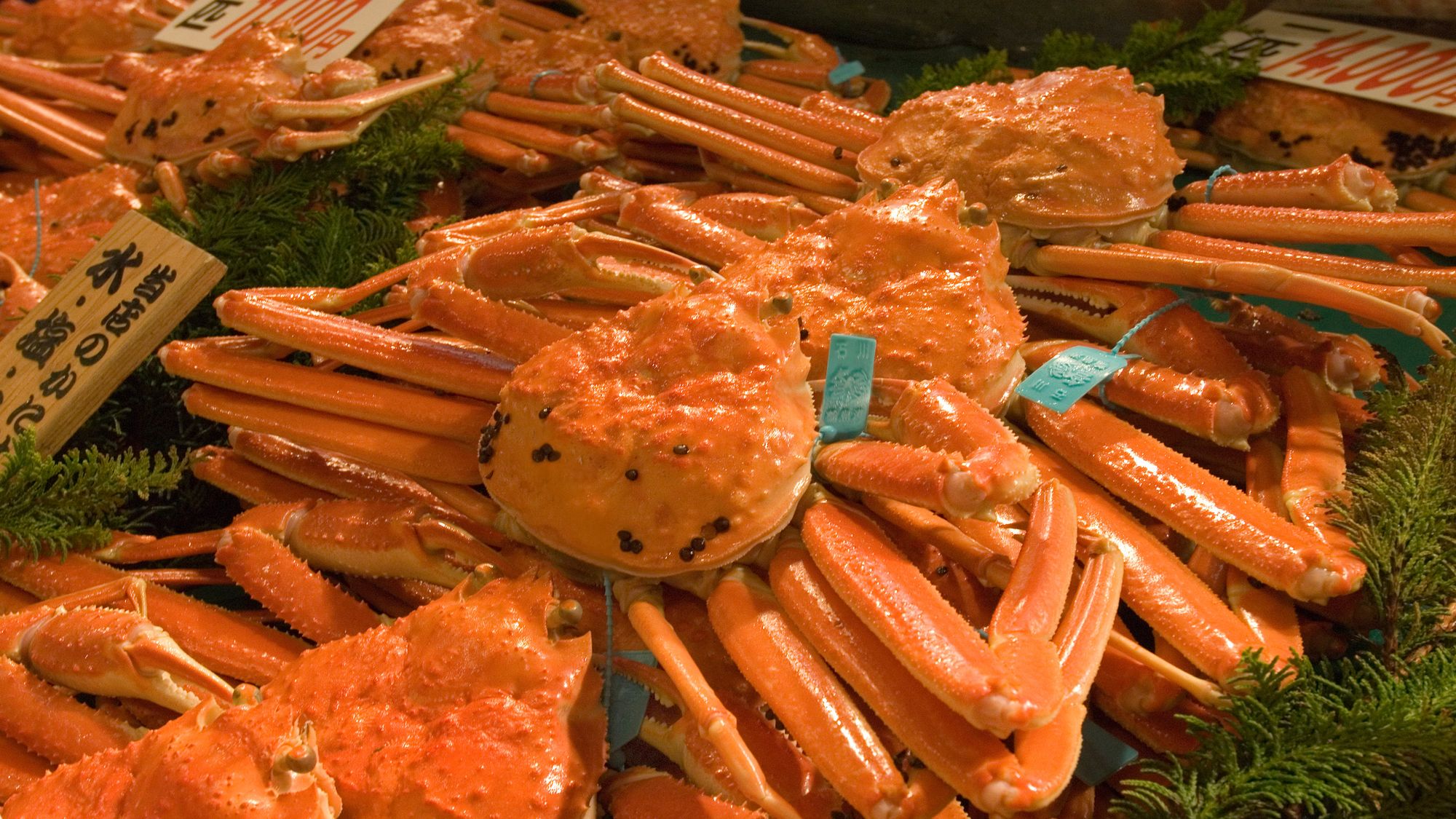 加能ガニ（画像提供：金沢市）