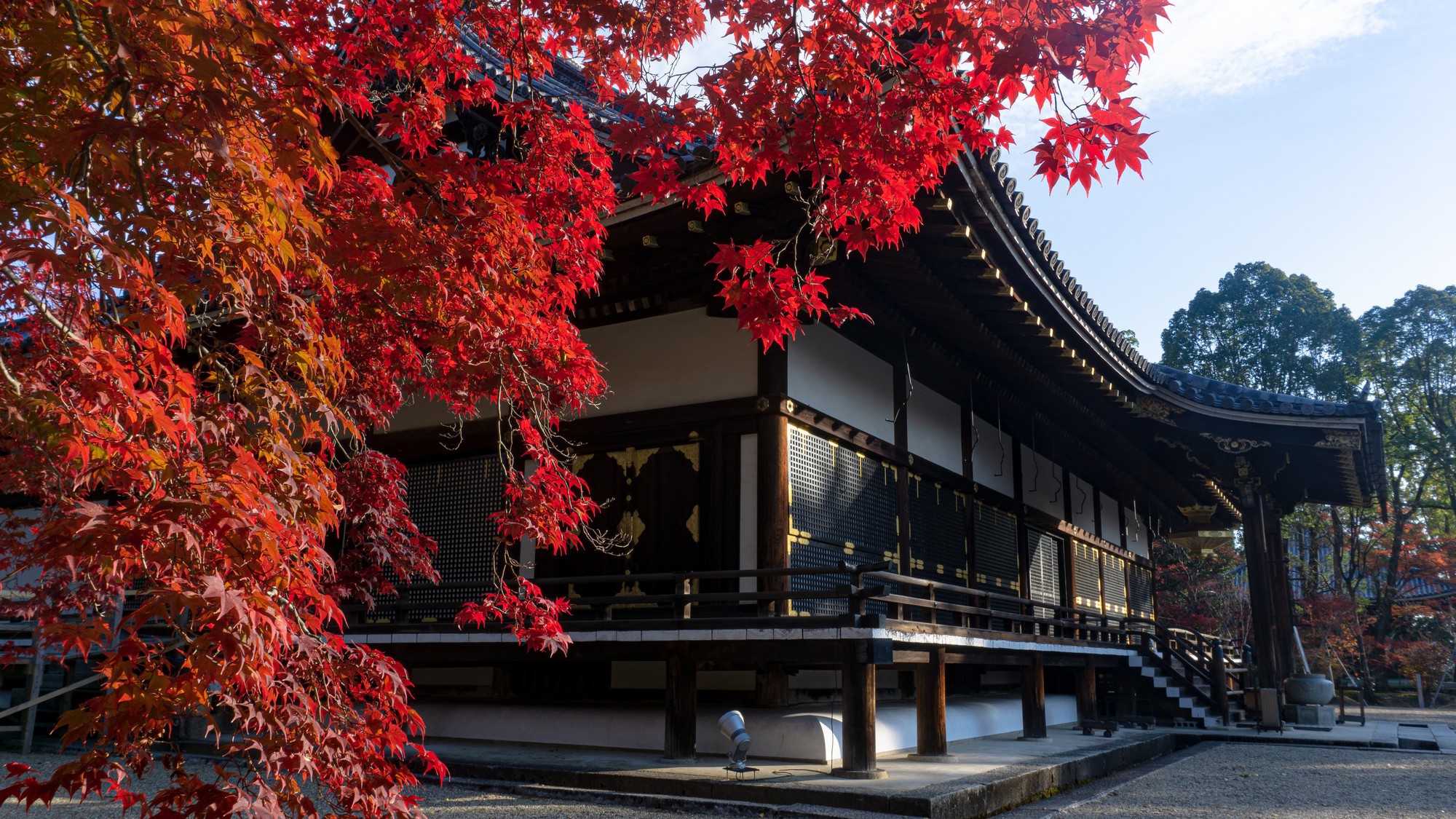 仁和寺金堂｜公共交通機関で約43分