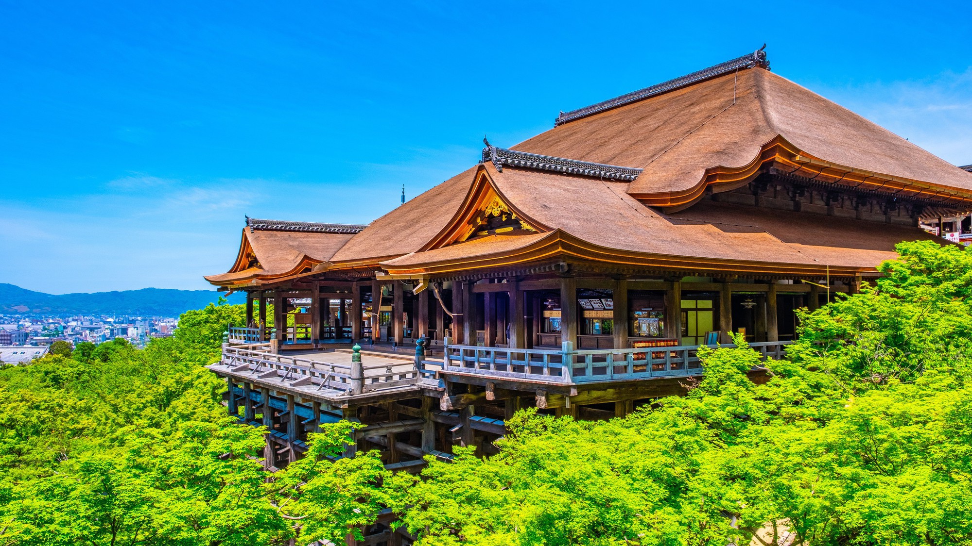 清水寺｜公共交通機関で約35分