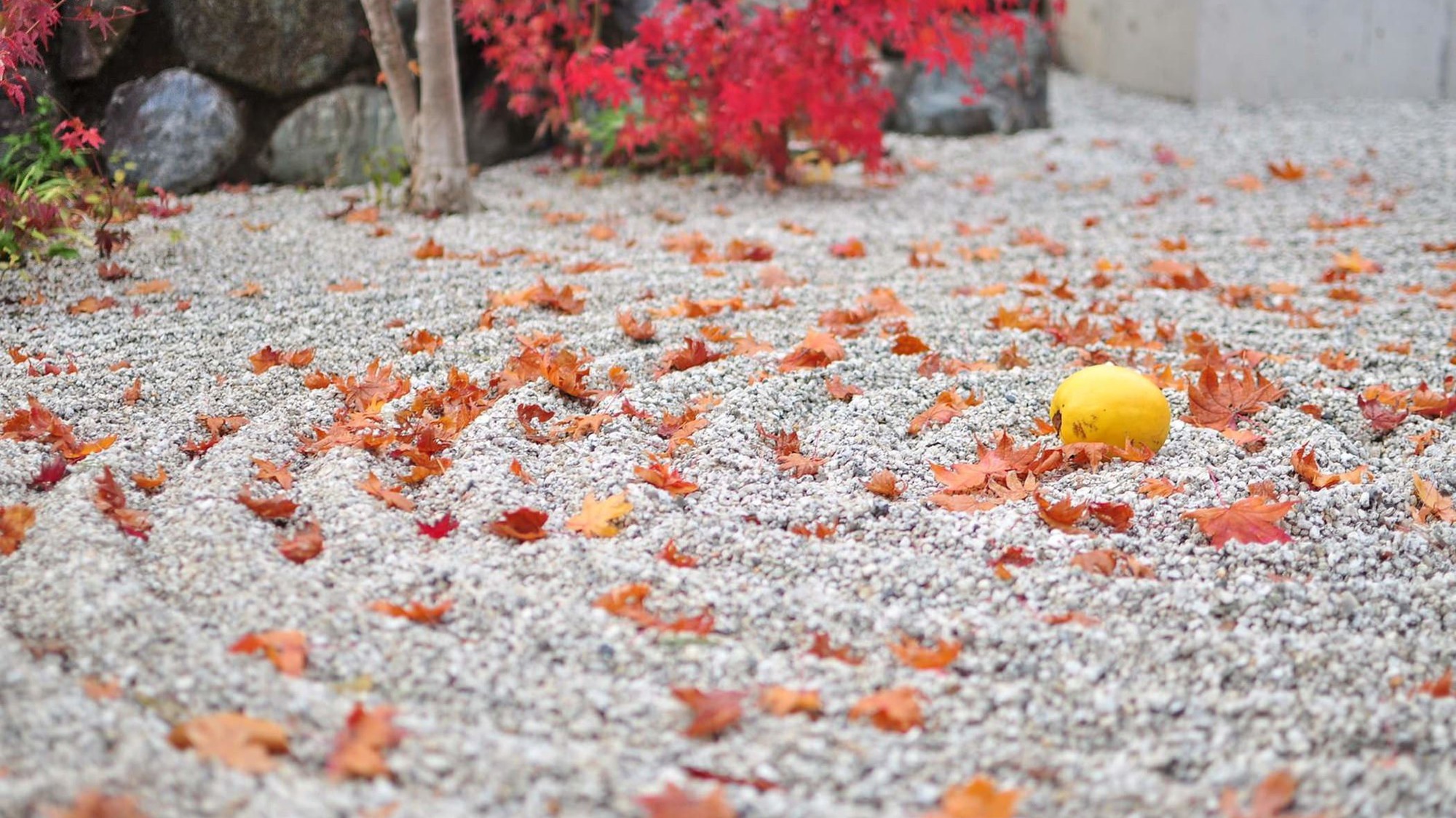 枯山水｜公共交通機関で約43分