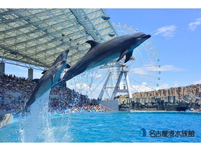 名古屋港水族館　イルカパフォーマンス