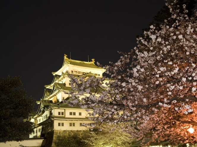 名古屋城　夜景