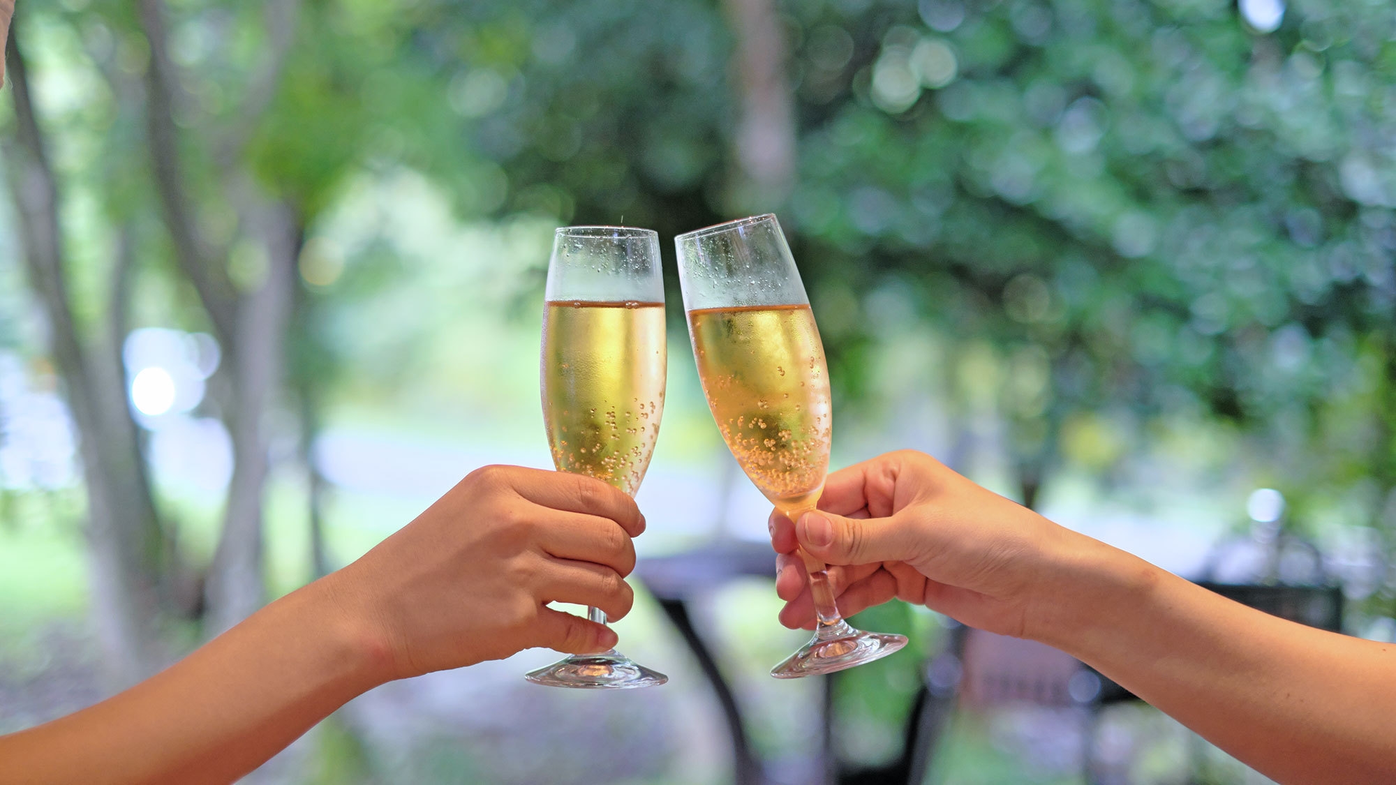 【記念日】アニバーサリープラン（三大特典付）