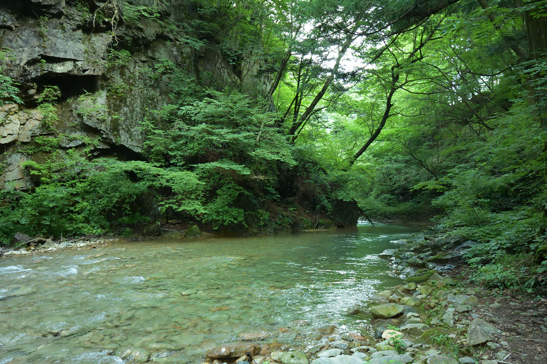 目の前に広がる四万川　楓仙峡