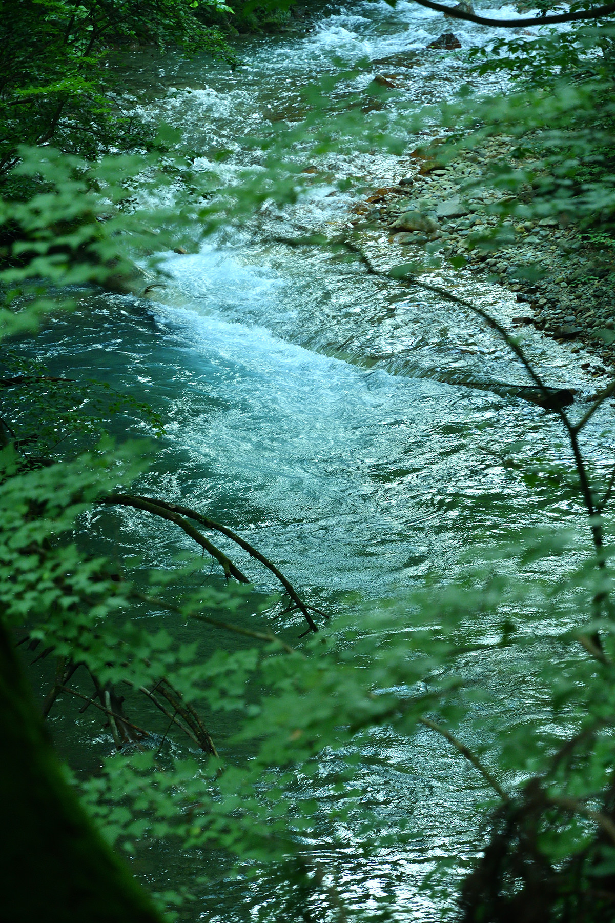 楓仙峡の眺め 縦