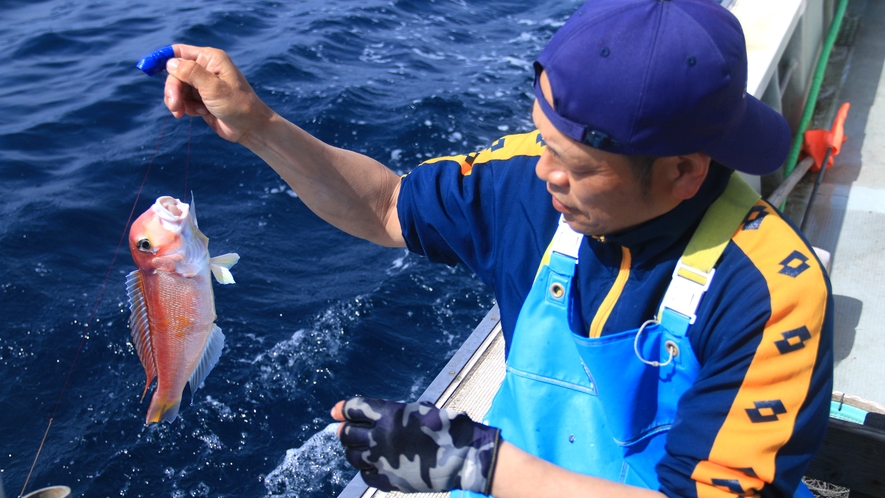 伝統ある延縄漁で獲る高級魚【グジ】を堪能してください！