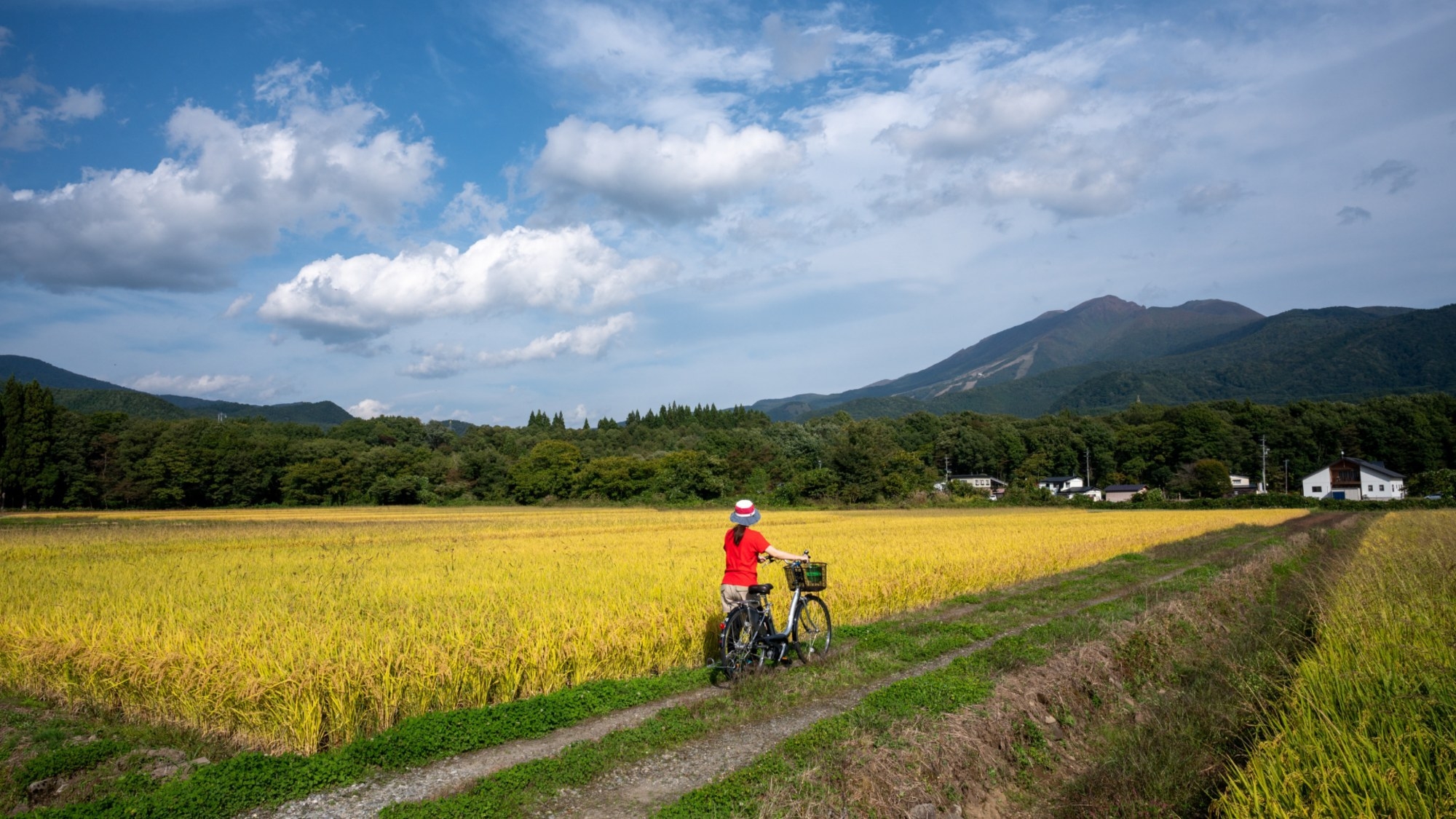 【一日一組様限定】大自然を走り抜ける！田沢湖サイクリング体験プラン／田沢湖をのぞむ絶景宿