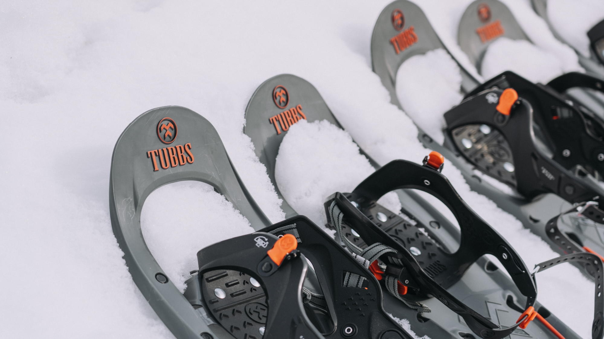 【室数限定】冬を体感！ふかふかの雪の森を歩くスノーシューウォーク体験プラン／田沢湖をのぞむ絶景宿