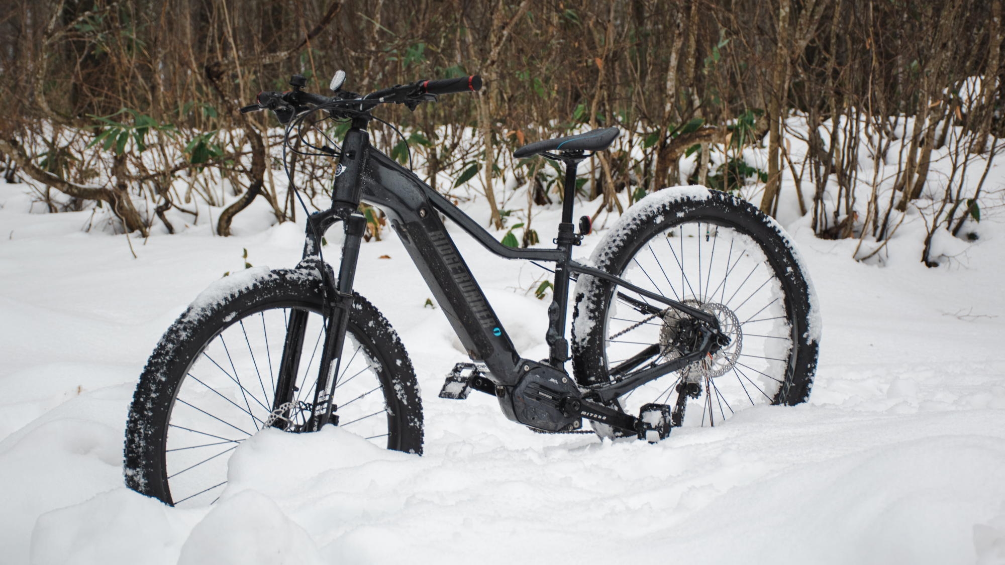 【室数限定】初心者も大歓迎！雪上を駆けるスノーサイクリング体験プラン／田沢湖をのぞむ絶景宿