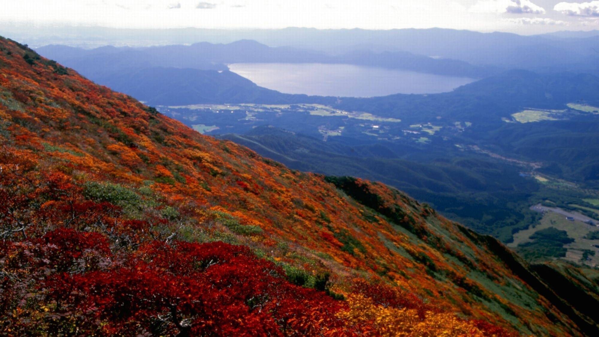 ■駒ケ岳紅葉（見頃毎年10月中～下旬）