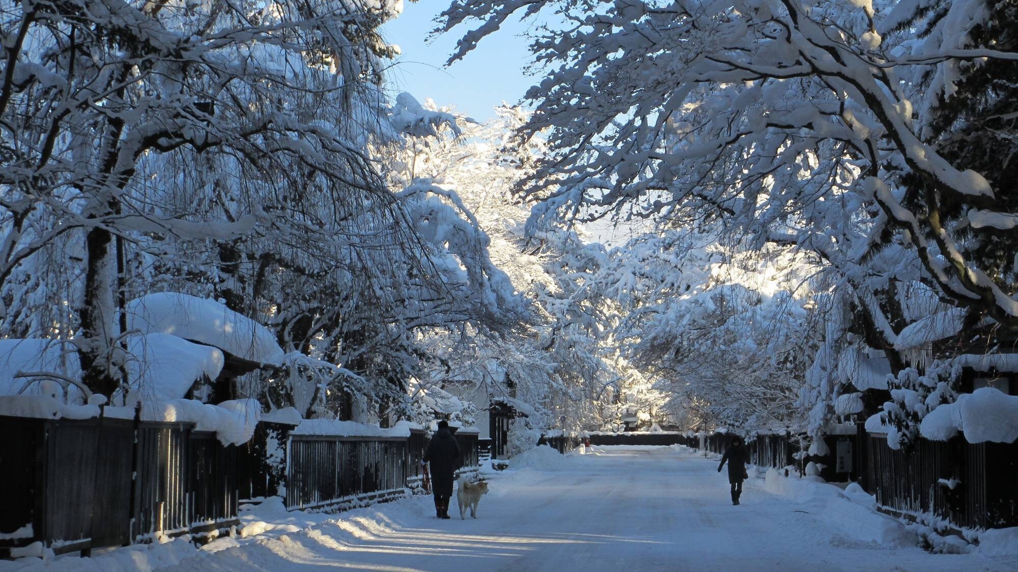 ■雪の武家屋敷通り＜当館から車で約30分＞