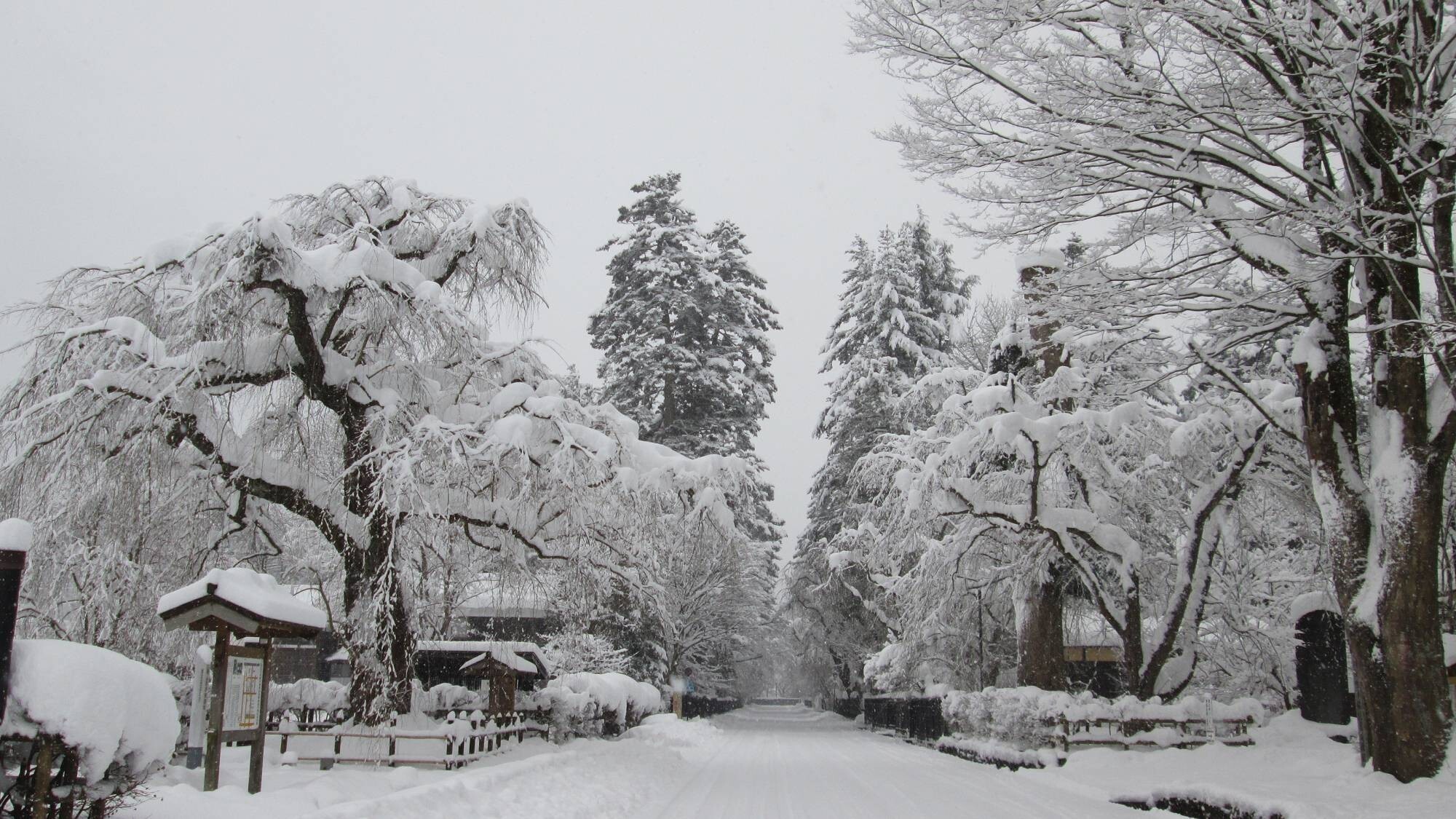 ■雪降る武家屋敷通り＜当館から車で約30分＞