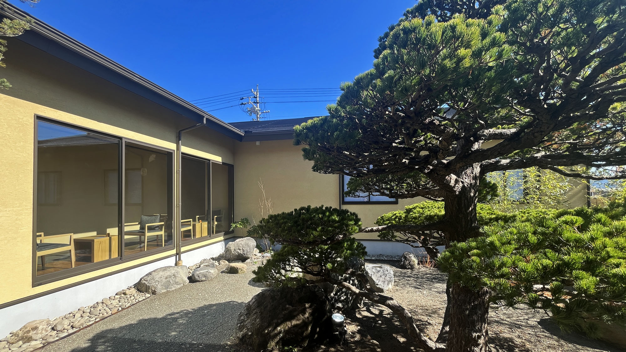 造園◆大きな松の木*