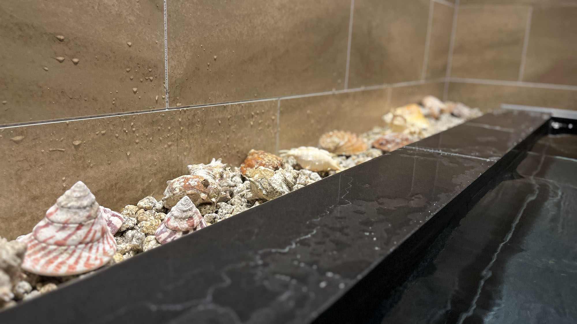 お風呂◆貝が敷かれています*