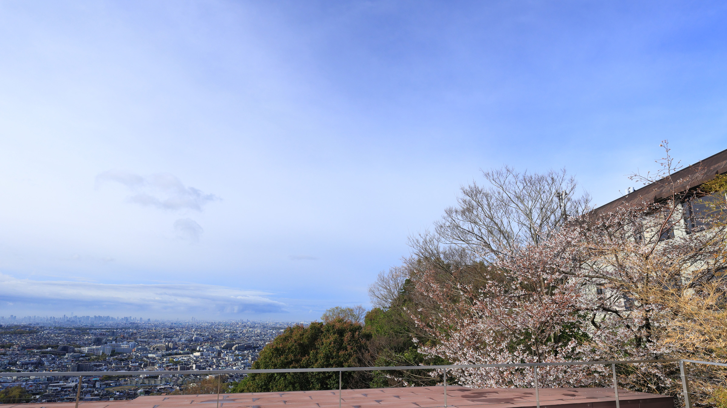 風のテラス（朝）