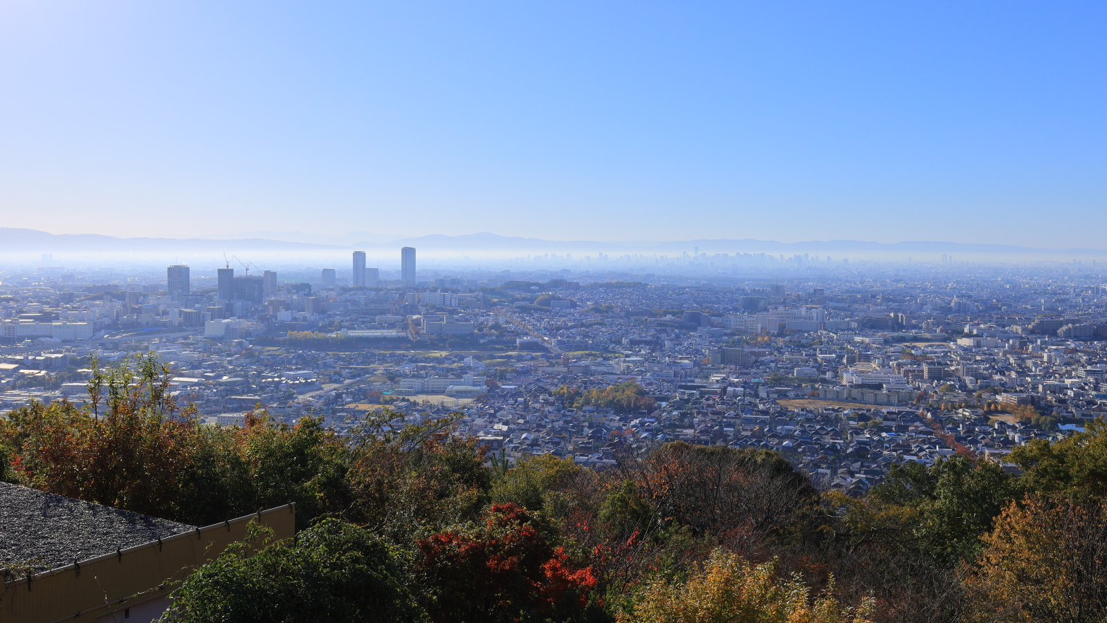 テラスからの眺望（朝）