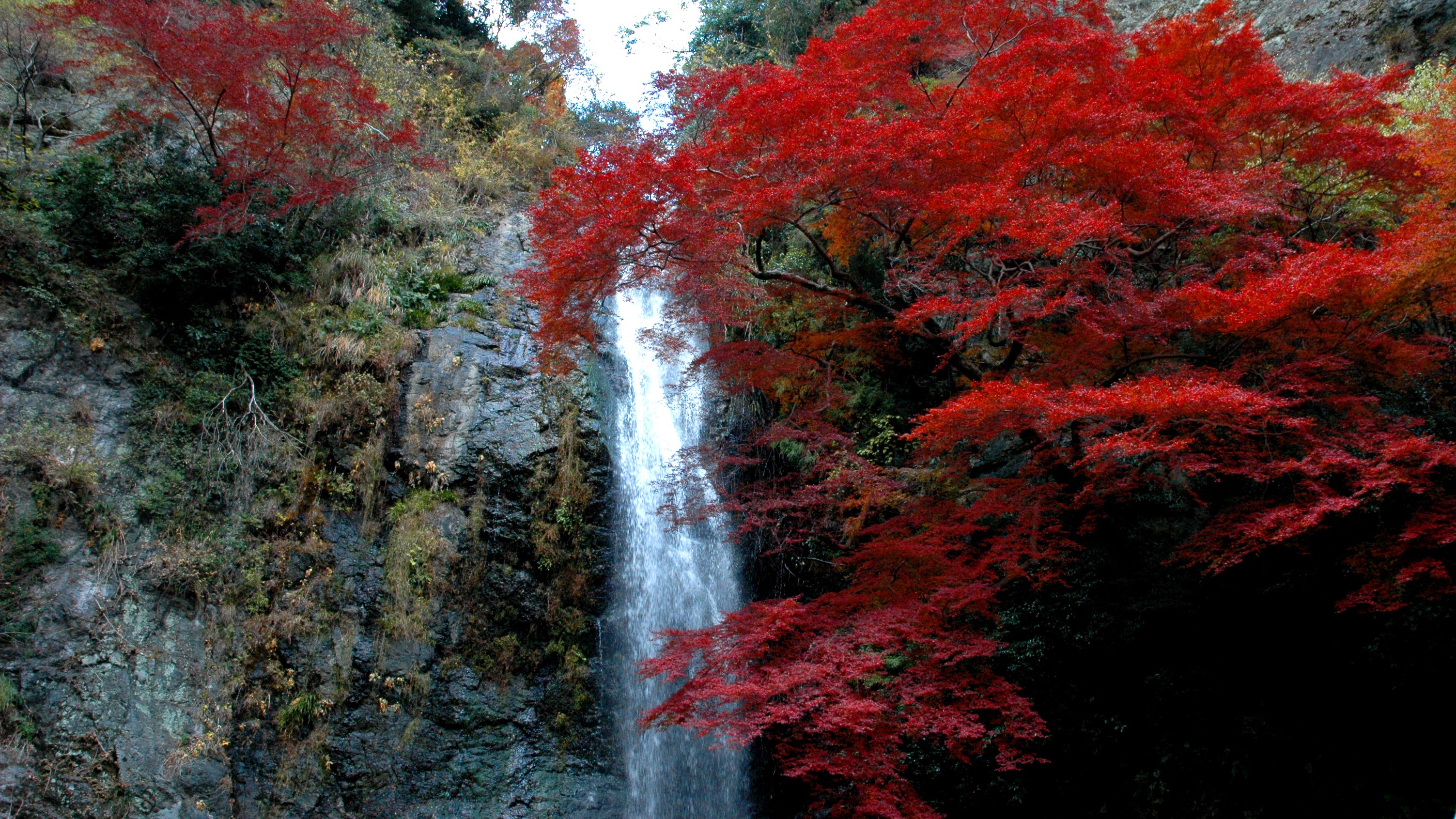 箕面大滝